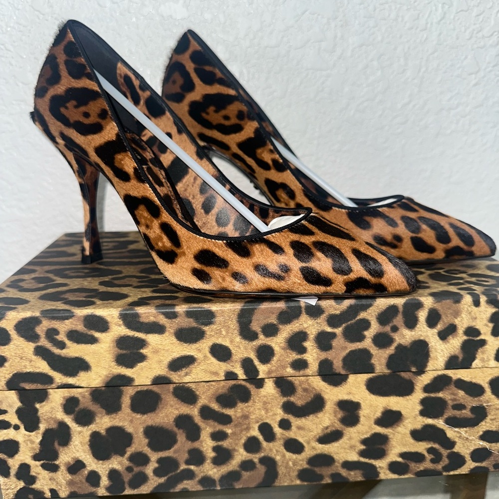 Dolce and Gabbana Leopard Print Women's Pumps